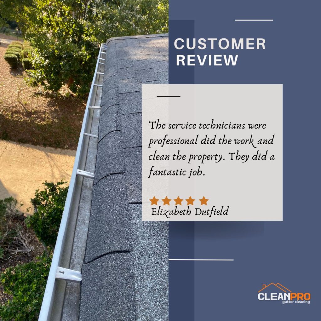 Elizabeth from Knoxville, TN gives us a 5 star review for a recent gutter cleaning service.