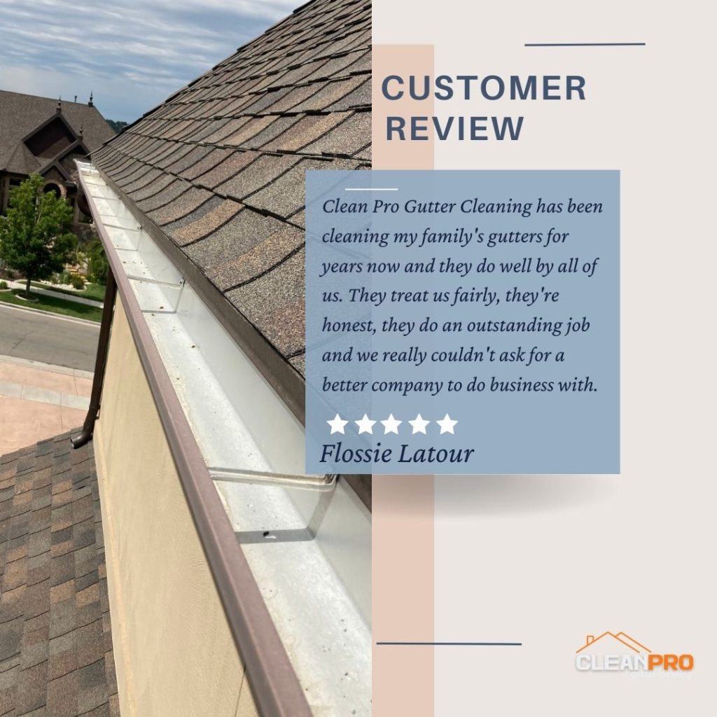 Flossie from Douglasville, GA gives us a 5 star review for a recent gutter cleaning service.