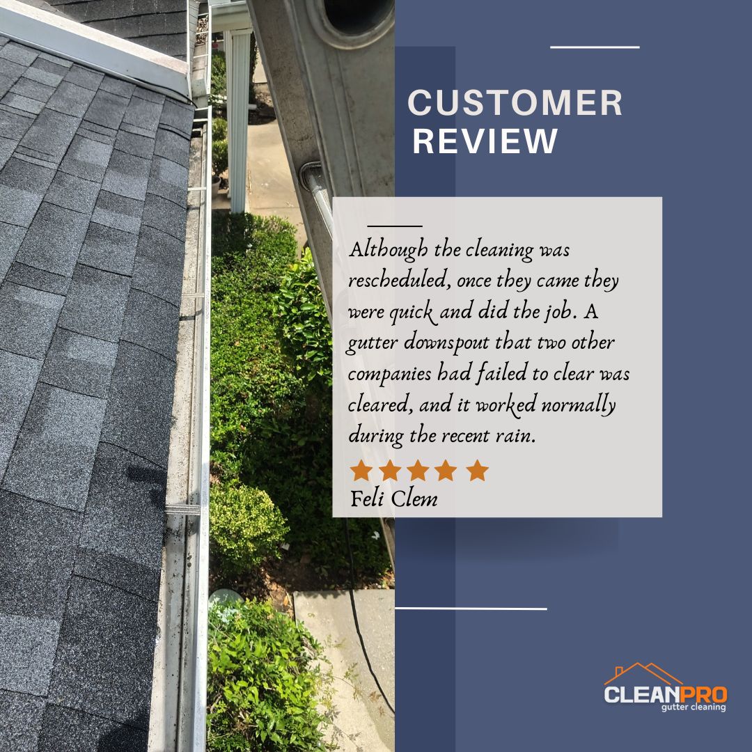 Feli from Atlanta, GA gives us a 5 star review for a recent gutter cleaning service.