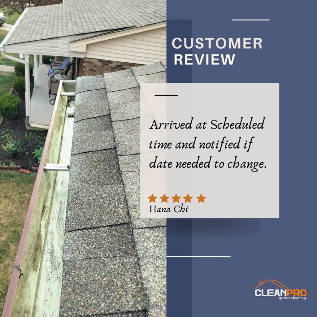 Hana from Lexington, KY gives us a 5 star review for a recent gutter cleaning service.