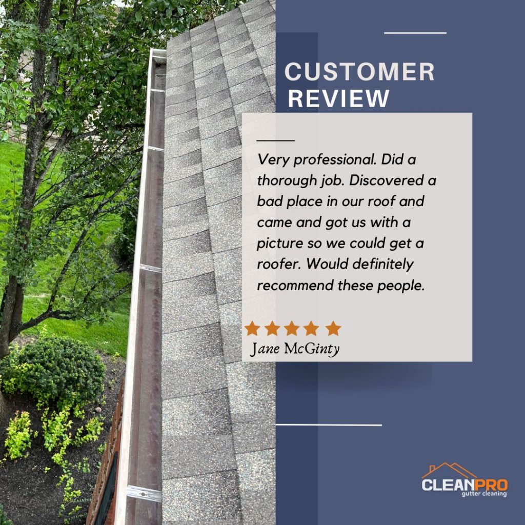 Jane from Naperville, IL gives us a 5 star review for a recent gutter cleaning service.