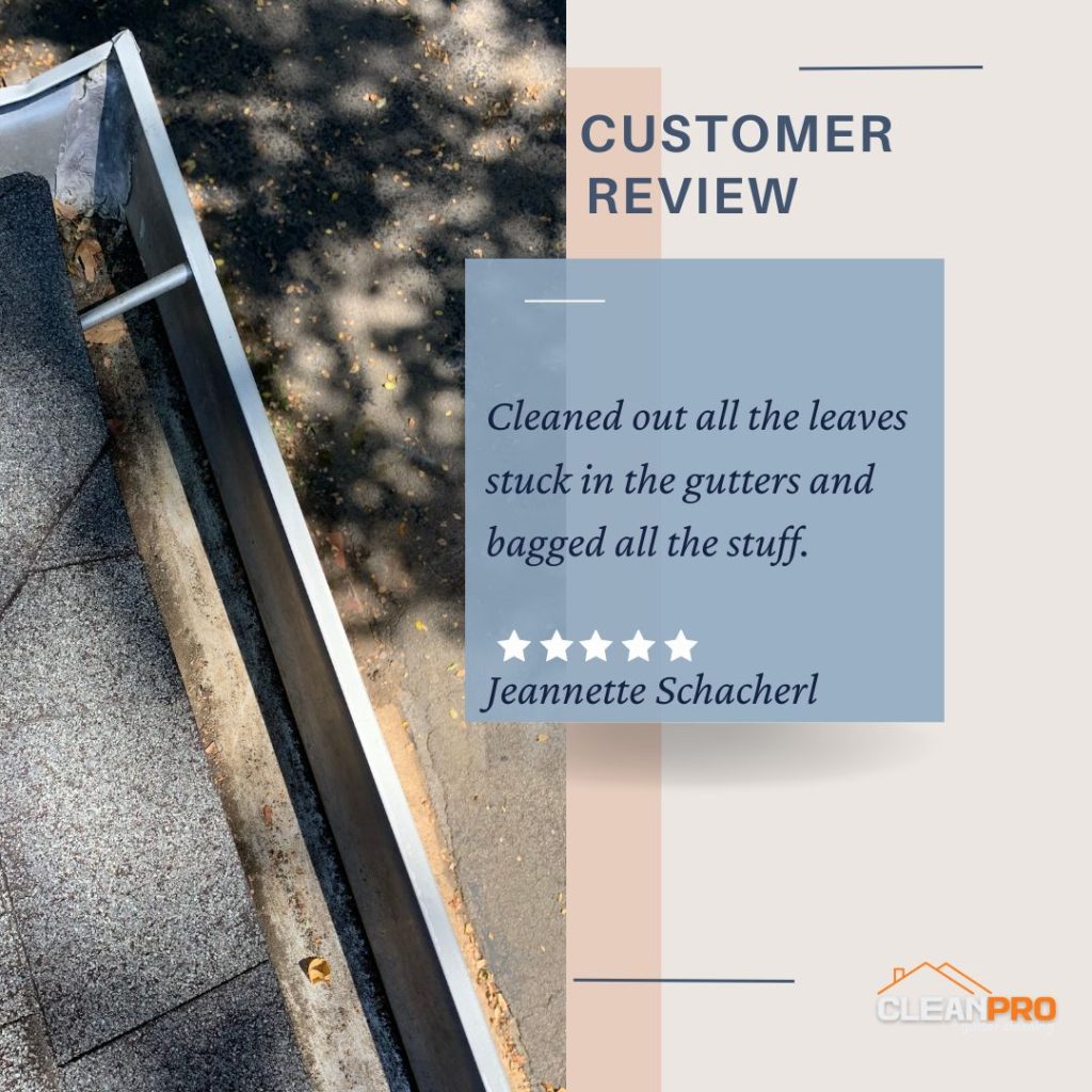 Jeannette  from Memphis, TN gives us a 5 star review for a recent gutter cleaning service.