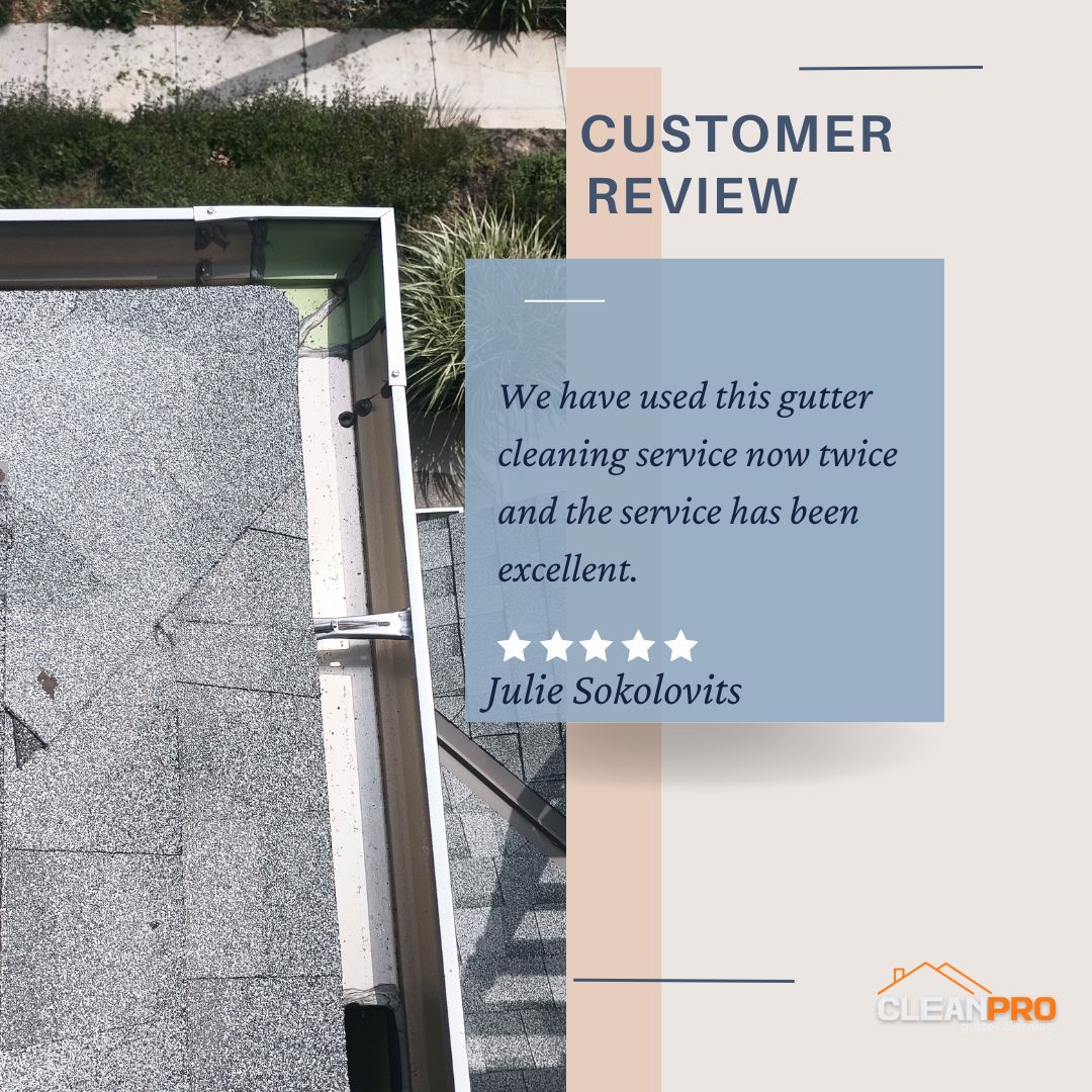 Julie from Atlanta, GA gives us a 5 star review for a recent gutter cleaning service.