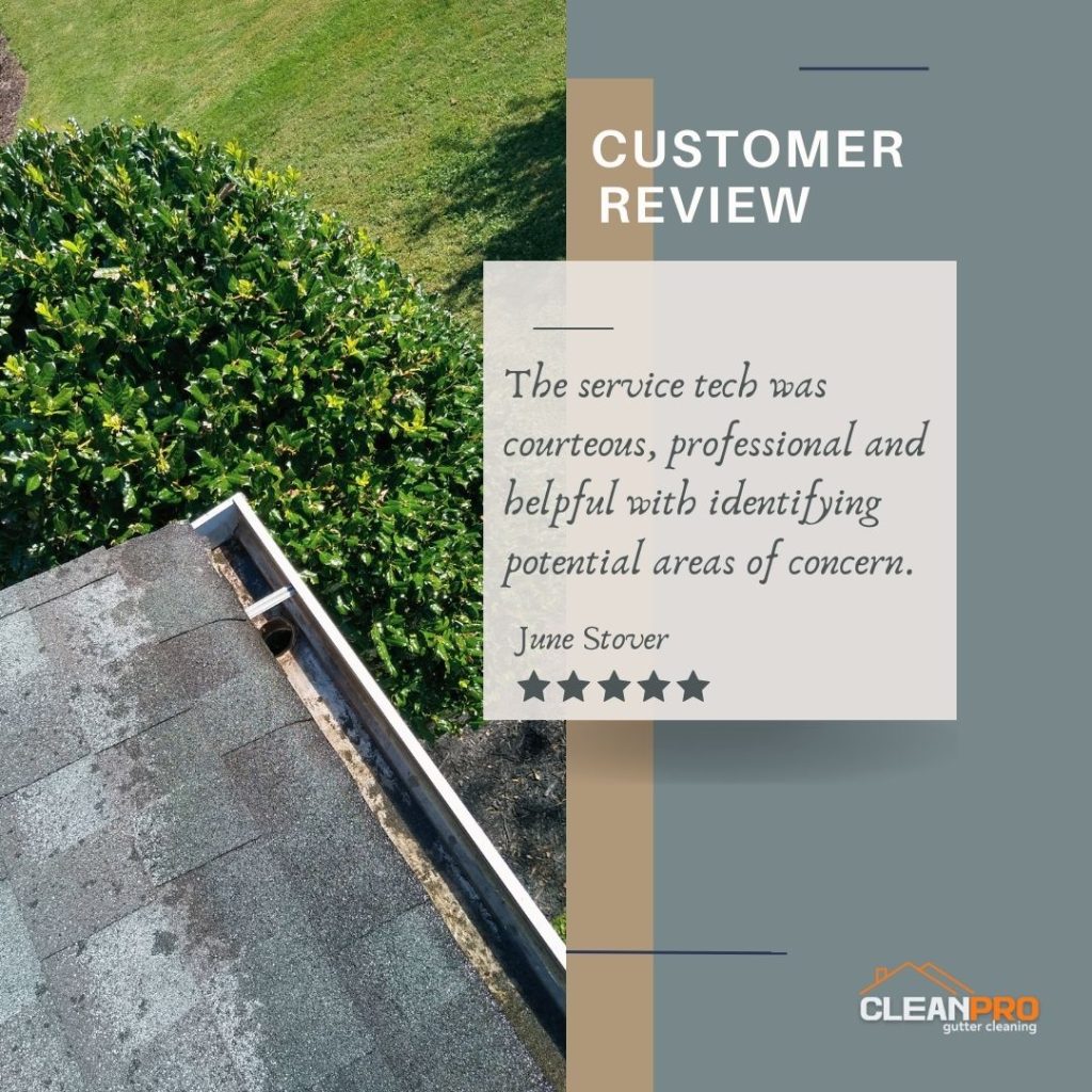 June from Lexington, KY gives us a 5 star review for a recent gutter cleaning service.
