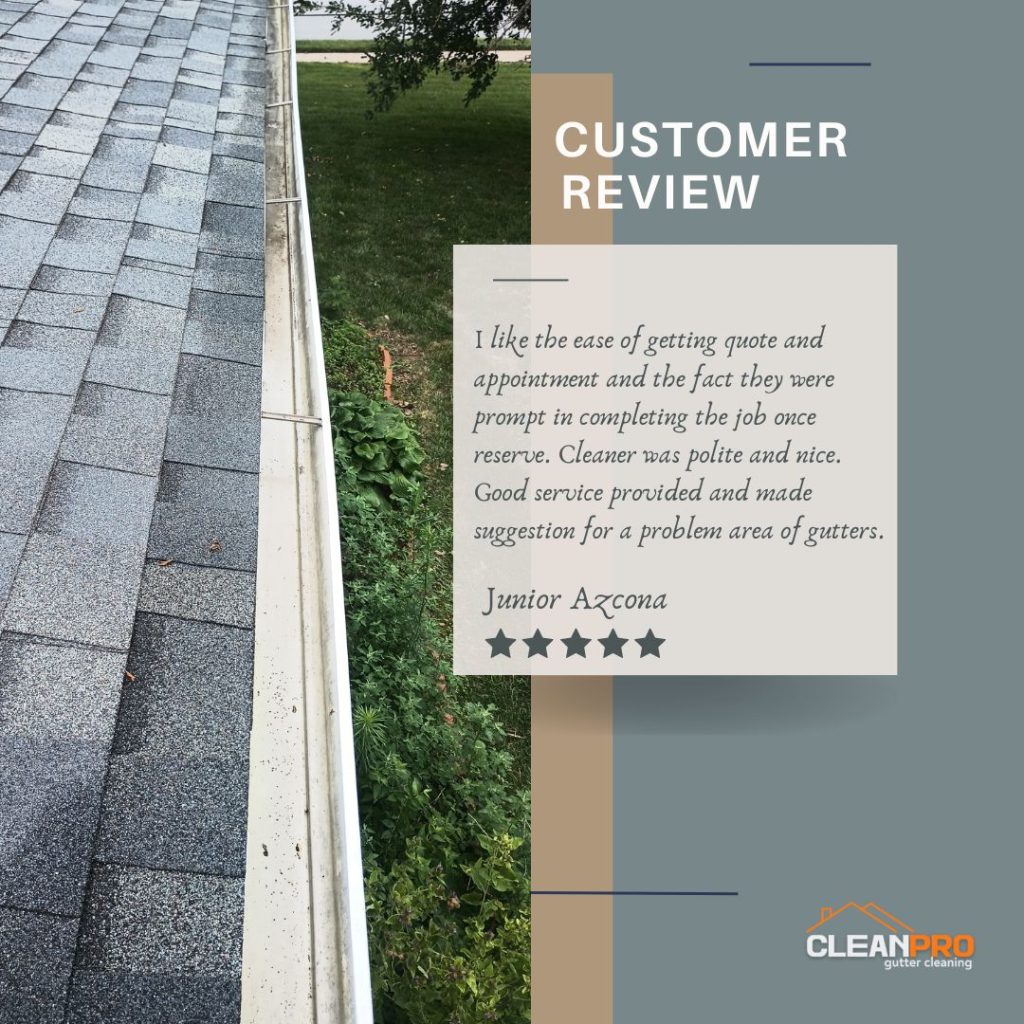 Junior  from St Louis, MO gives us a 5 star review for a recent gutter cleaning service.