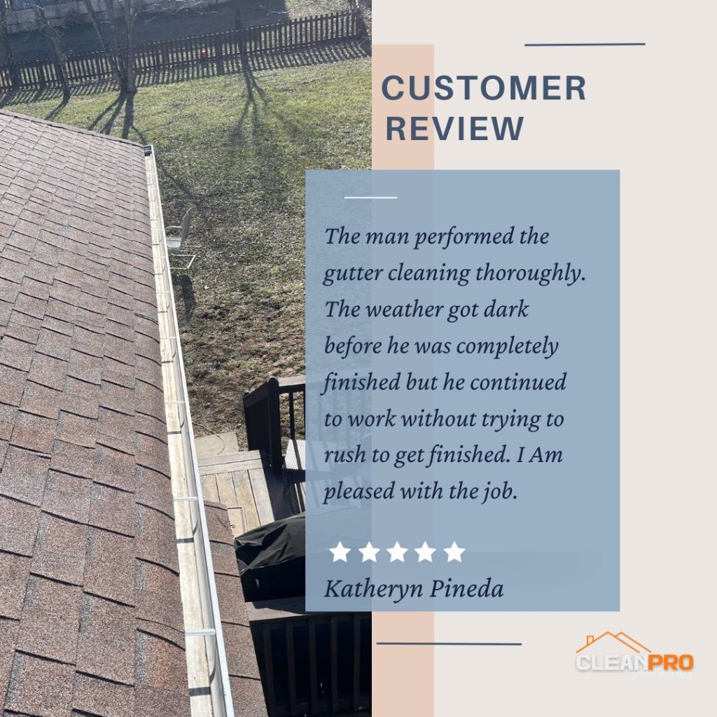 Clean Pro's Approach To Gutter Cleaning Is Unique
