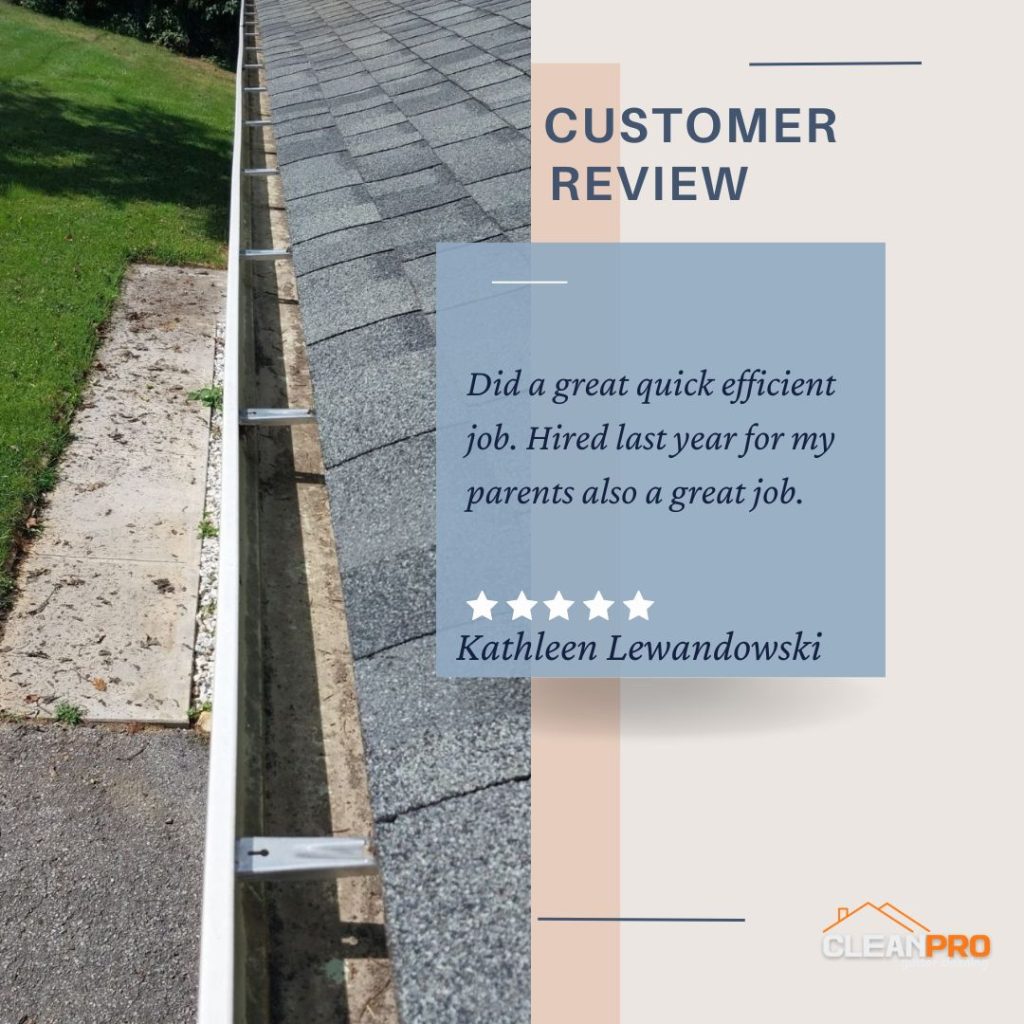 Kathleen  from Alexandria, VA gives us a 5 star review for a recent gutter cleaning service.