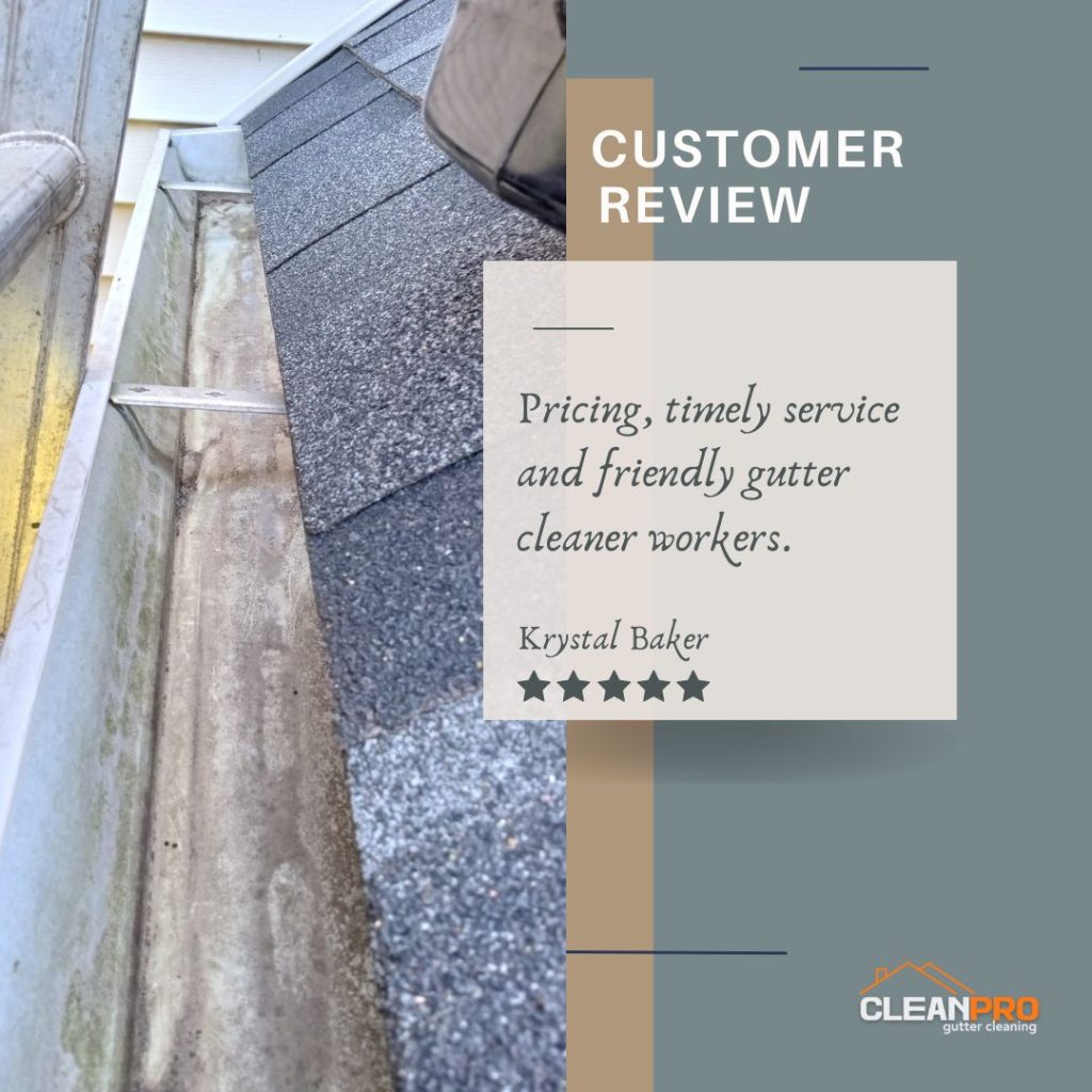 Krystal Baker from Pittsburgh, PA gives us a 5 star review for a recent gutter cleaning service.