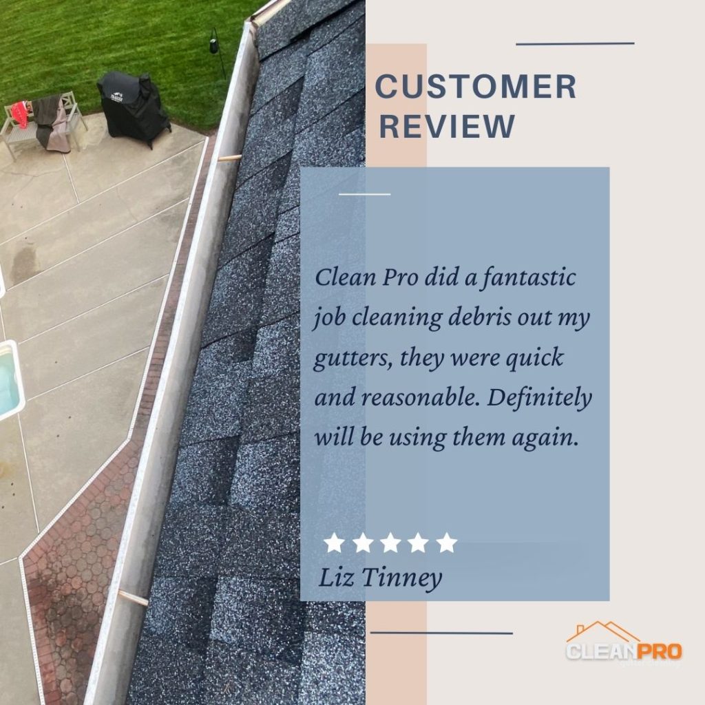 Liz in Denver, CO gives us a 5 star review for a recent gutter cleaning service.