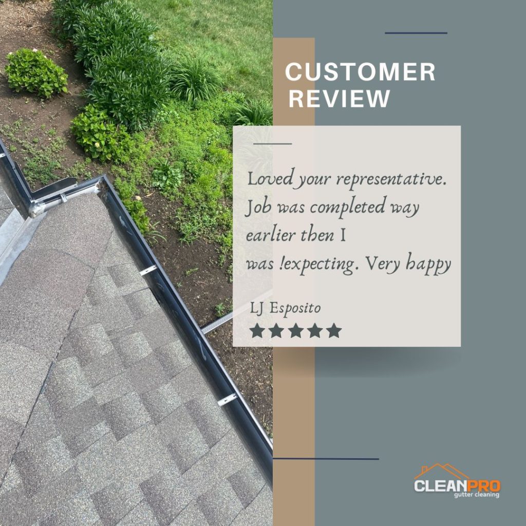 LJ from Springfield, MO gives us a 5 star review for a recent gutter cleaning service.