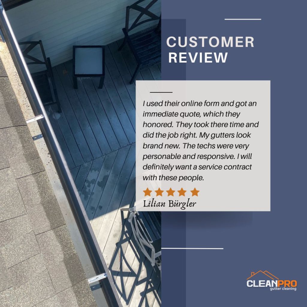 Lilian from Boston, MA gives us a 5 star review for a recent gutter cleaning service.