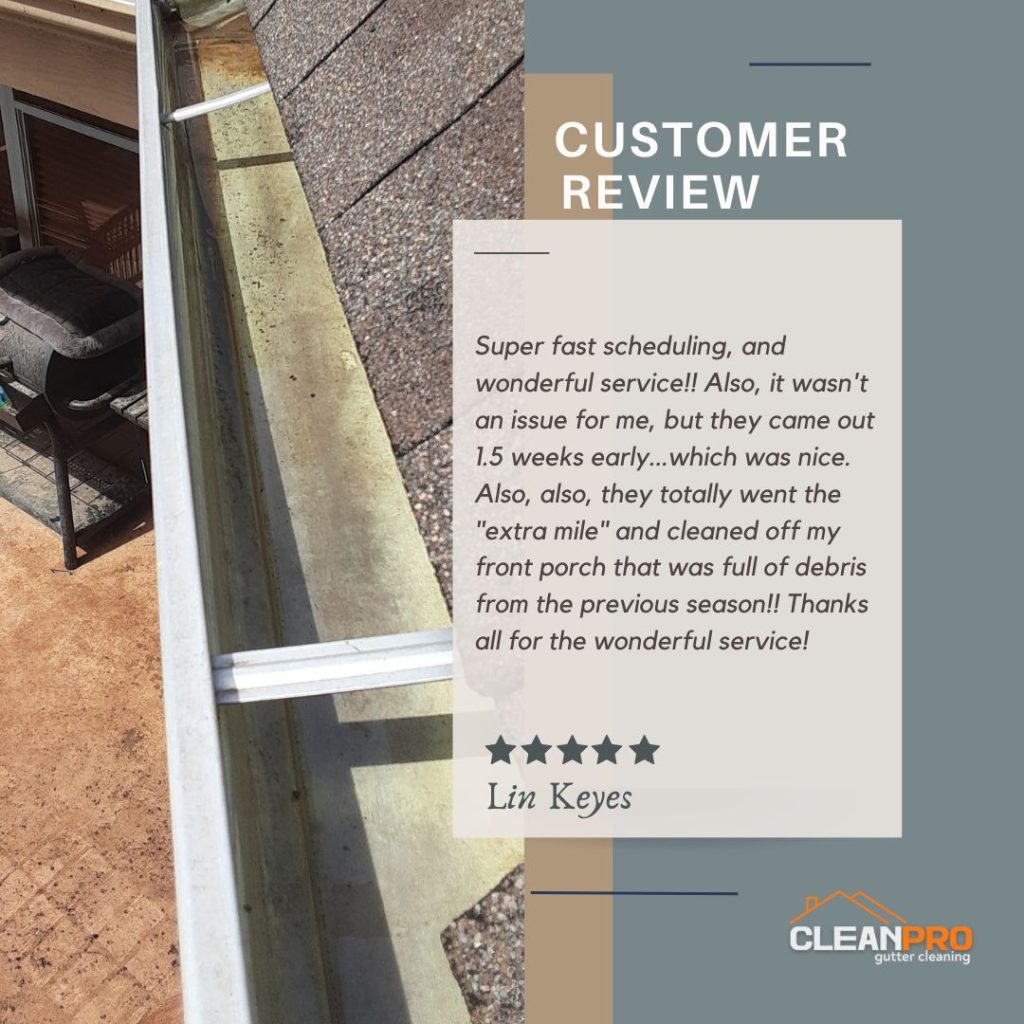 Lin from Madison, WI gives us a 5 star review for a recent gutter cleaning service.
