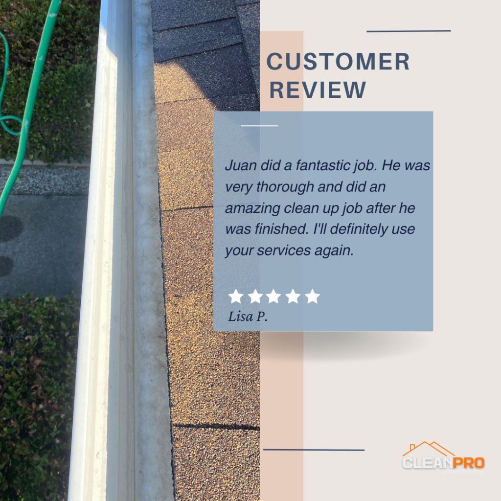 Lisa P. from Virginia Beach, VA gives us a 5 star review for a recent gutter cleaning service.
