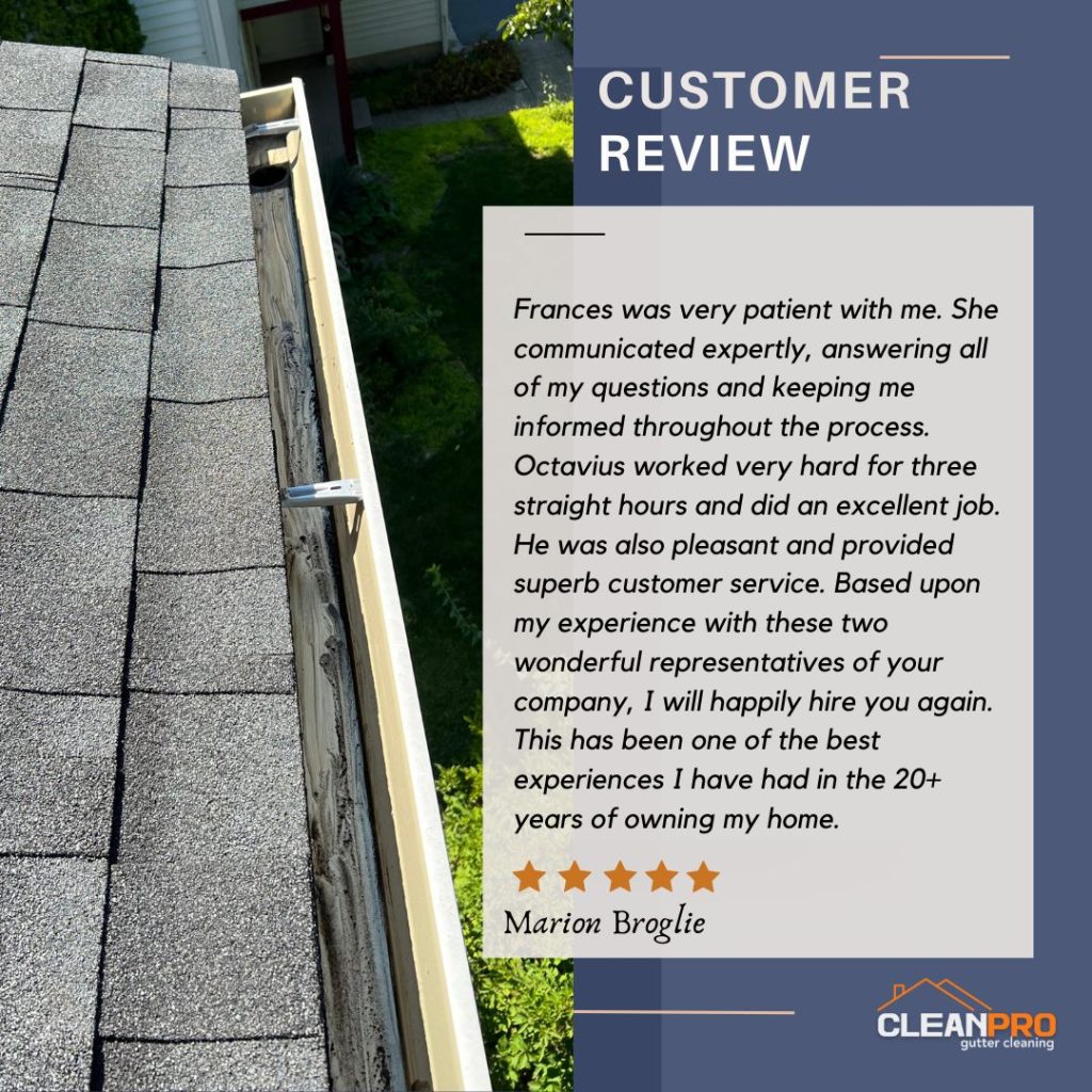 Marion in Seattle, WA gives us a 5 star review for a recent gutter cleaning service.