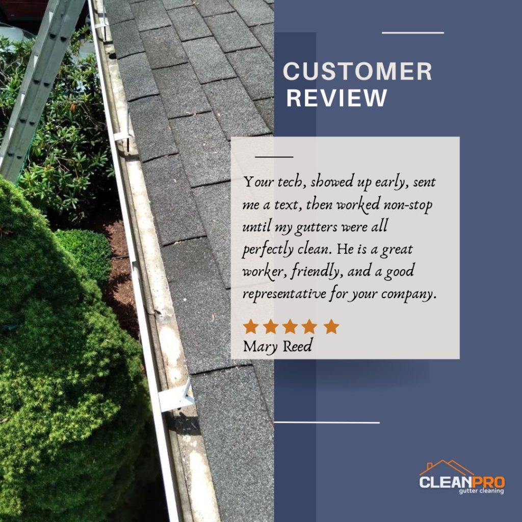 Mary from Beaverton, OR gives us a 5 star review for a recent gutter cleaning service.

