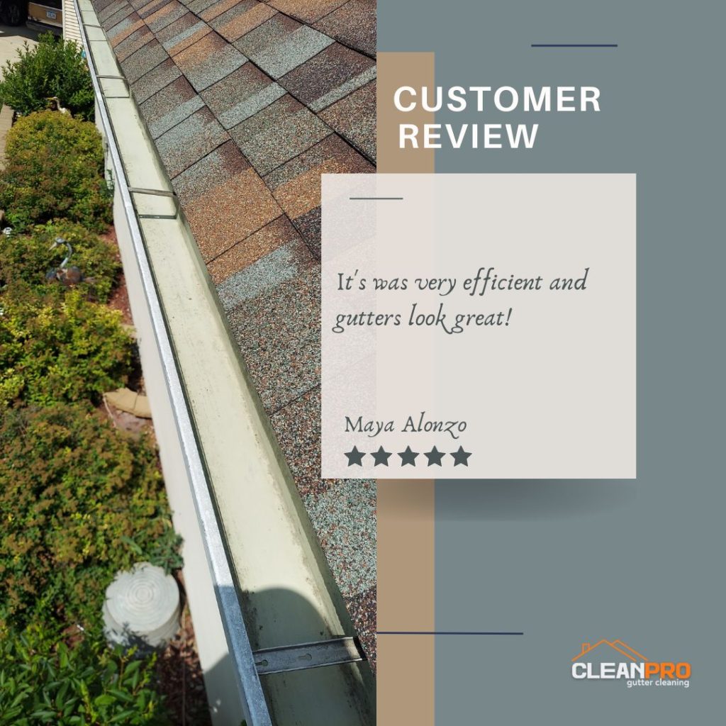 Maya from Raleigh, NC gives us a 5 star review for a recent gutter cleaning service.