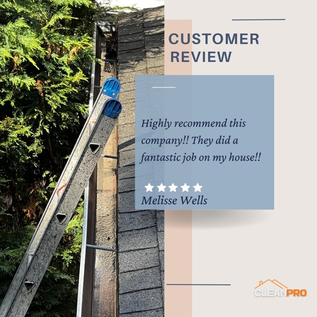 Melisse  from Knoxville, TN gives us a 5 star review for a recent gutter cleaning service.