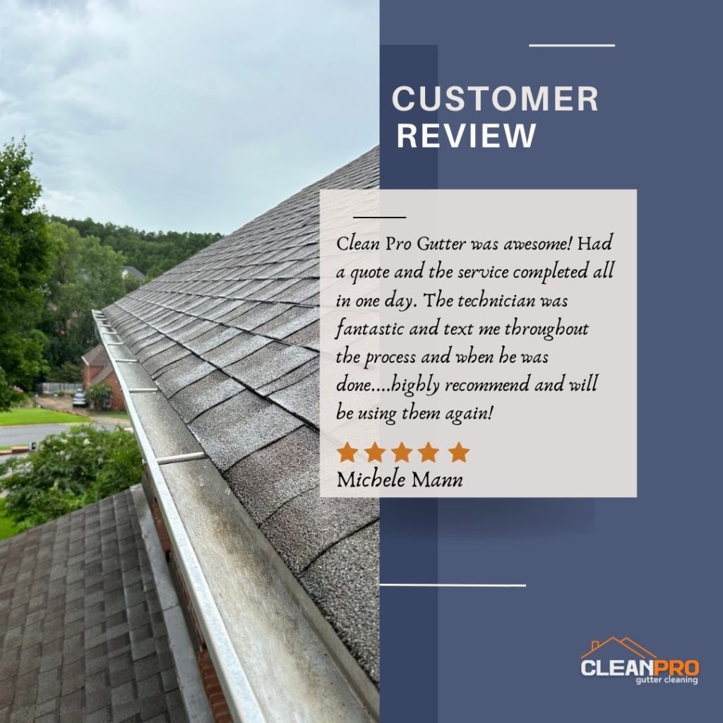 Michele from Boston, MA gives us a 5 star review for a recent gutter cleaning service.