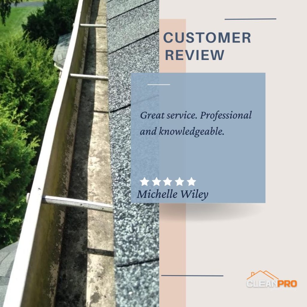 Michelle from Pittsburgh, PA gives us a 5 star review for a recent gutter cleaning service.
