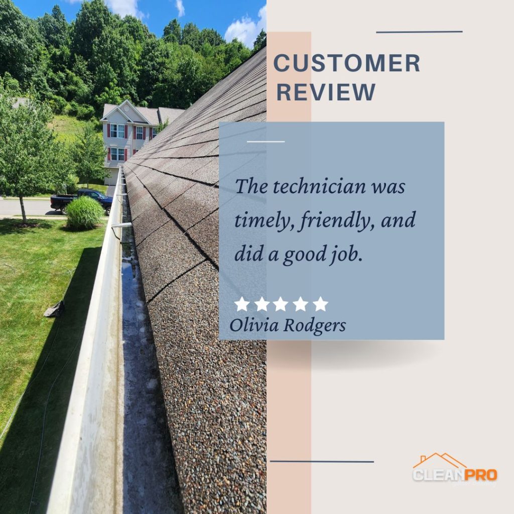Olivia from Portland, OR gives us a 5 star review for a recent gutter cleaning service.
