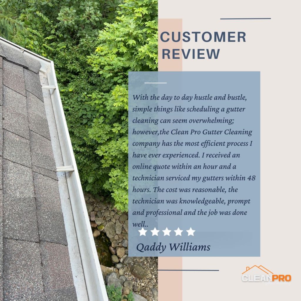Qaddy  from Chicago, IL gives us a 5 star review for a recent gutter cleaning service.