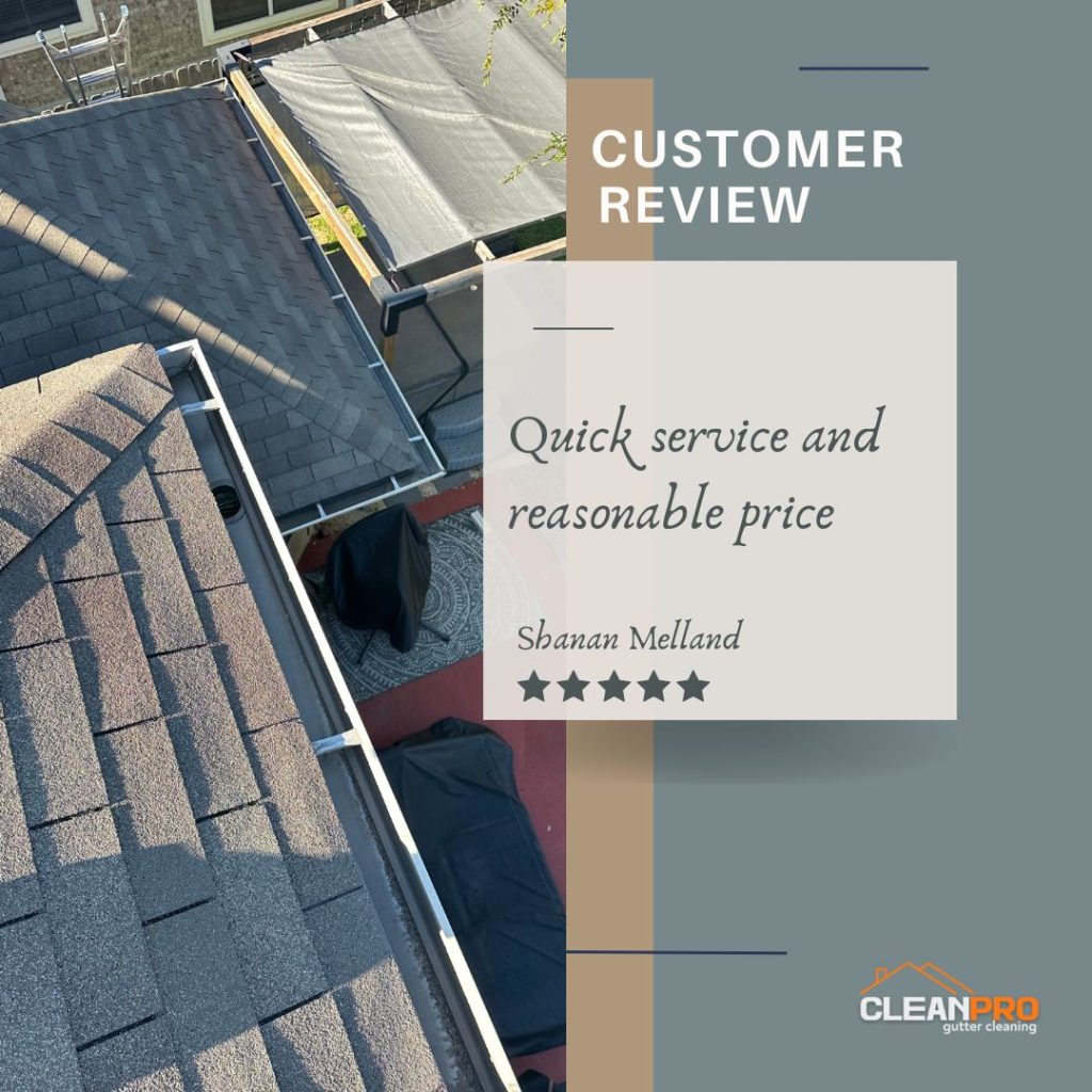 Shanan from Houston, TX gives us a 5 star review for a recent gutter cleaning service.