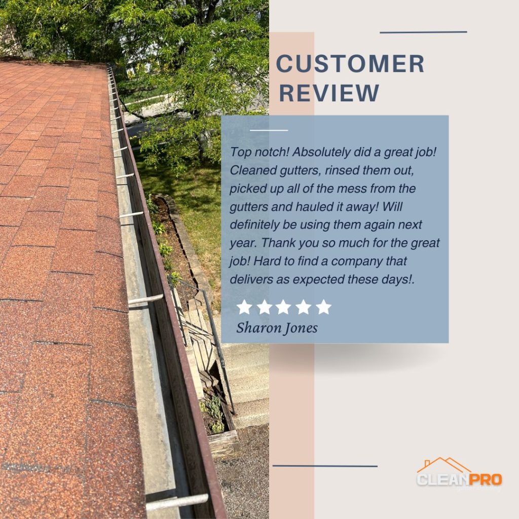 Sharon  from Syracuse, NY gives us a 5 star review for a recent gutter cleaning service.