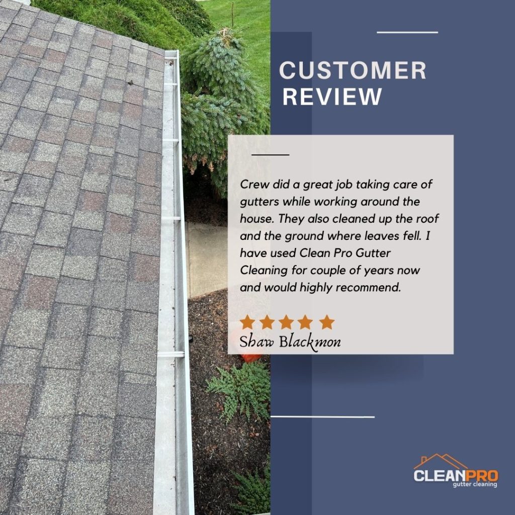 Shaw from Cheasapeake, VA gives us a 5 star review for a recent gutter cleaning service.
