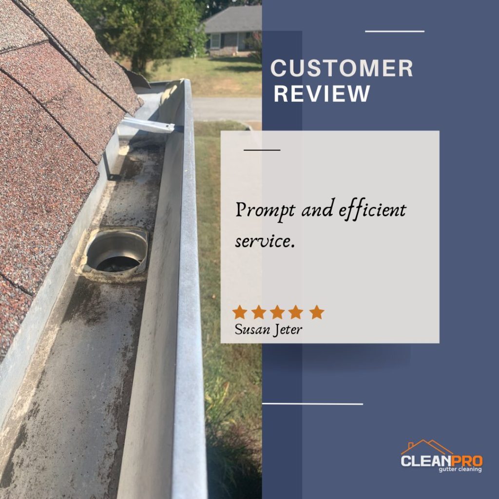 Susan in Memphis, TN gives us a 5 star review for a recent gutter cleaning service.
