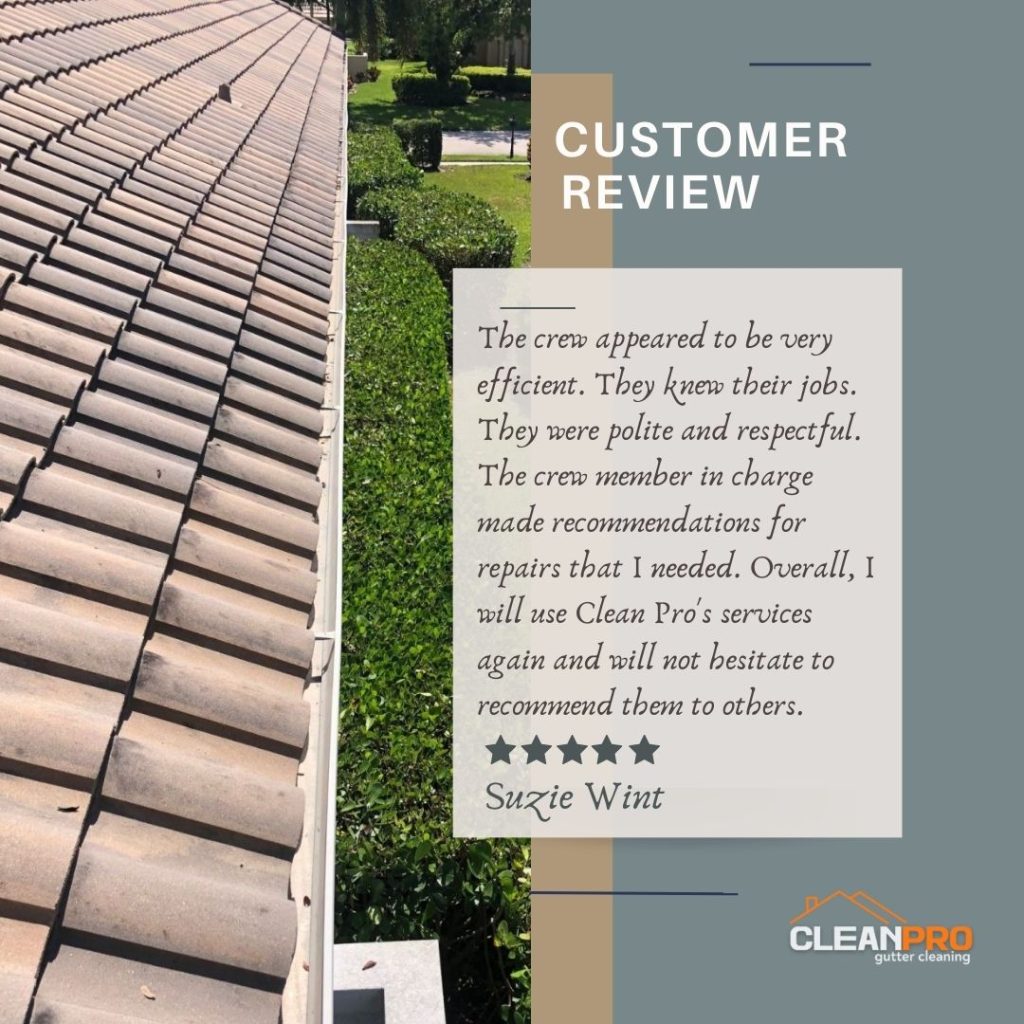 Suzie from Denver, CO gives us a 5 star review for a recent gutter cleaning service.