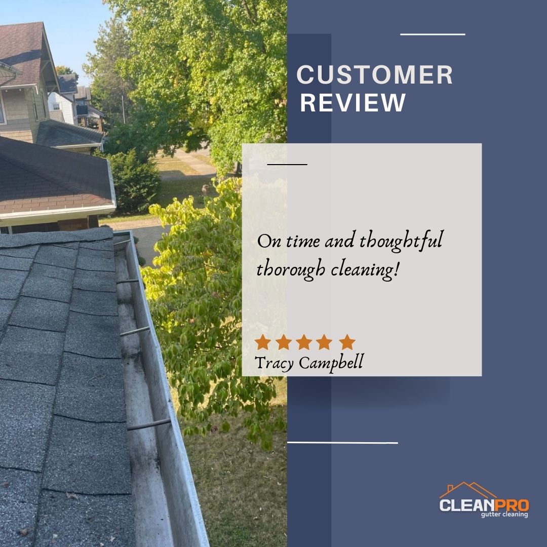 Tracy from Baltimore, MD gives us a 5 star review for a recent gutter cleaning service.