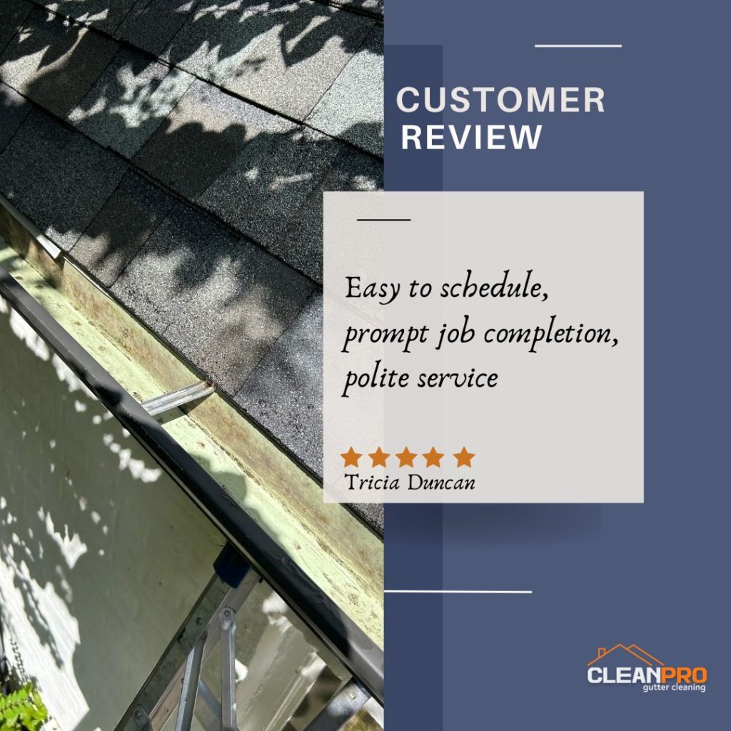 Tricia from Knoxville, TN gives us a 5 star review for a recent gutter cleaning service.