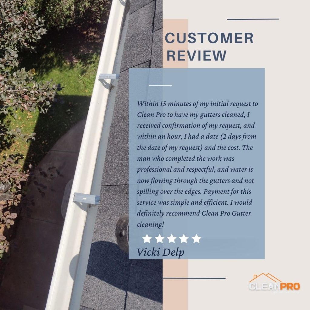 Vicki from Naperville, IL gives us a 5 star review for a recent gutter cleaning service.