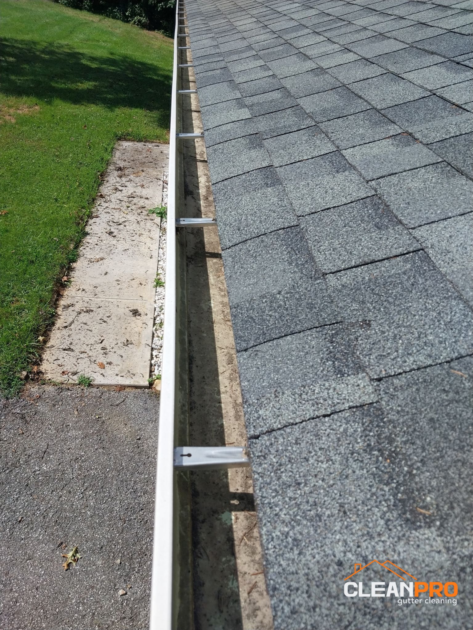 Top Notch Gutter Cleaning Service in Alexandria
