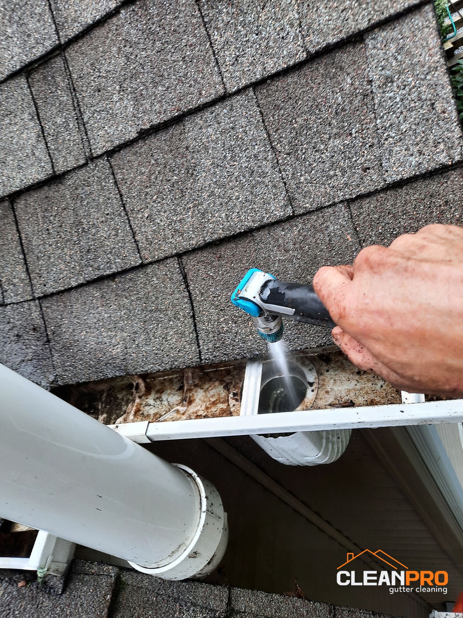 Top Notch Gutter Cleaning Service in Asheville