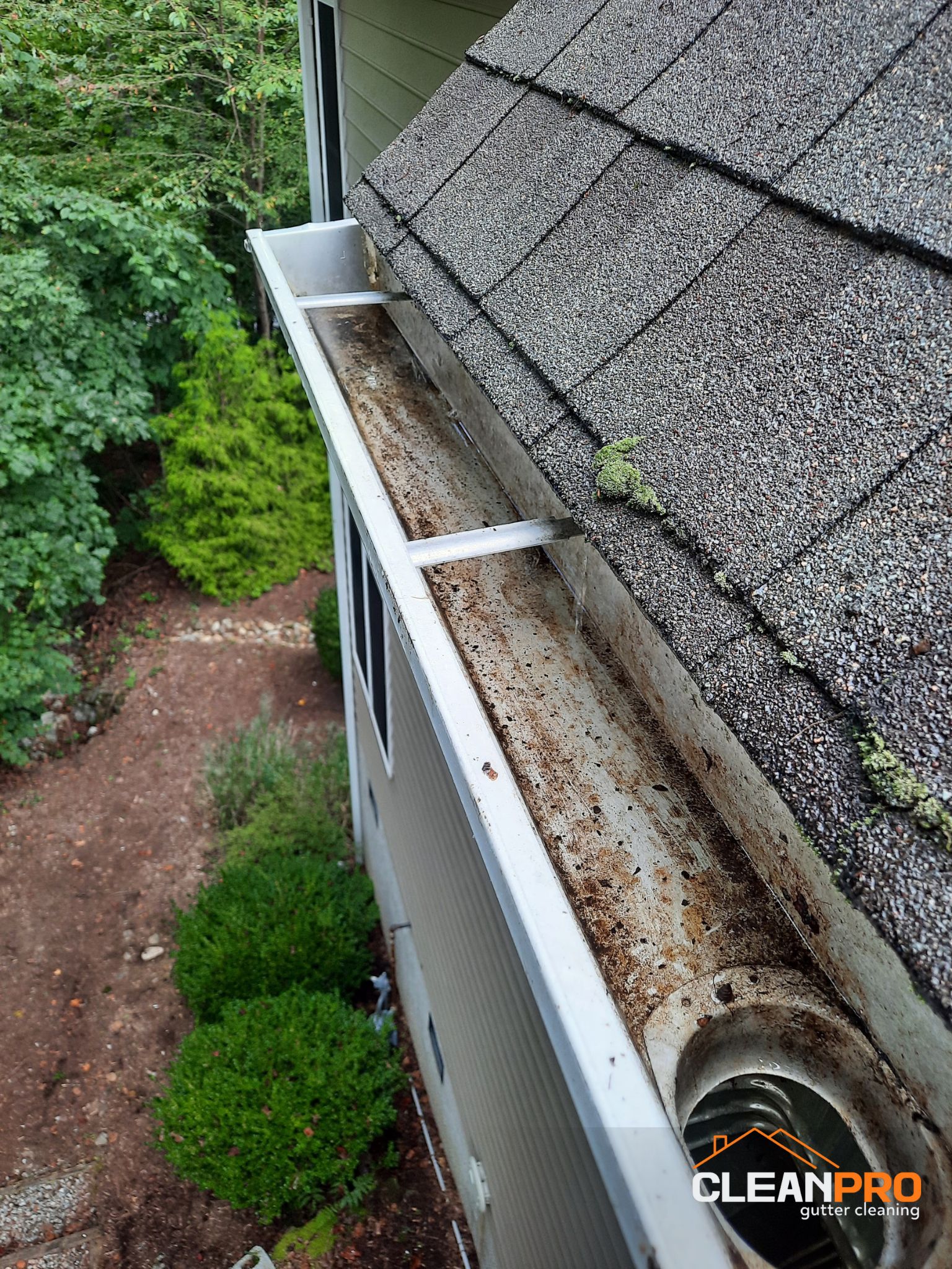 Top Notch Gutter Cleaning Service in Greenville