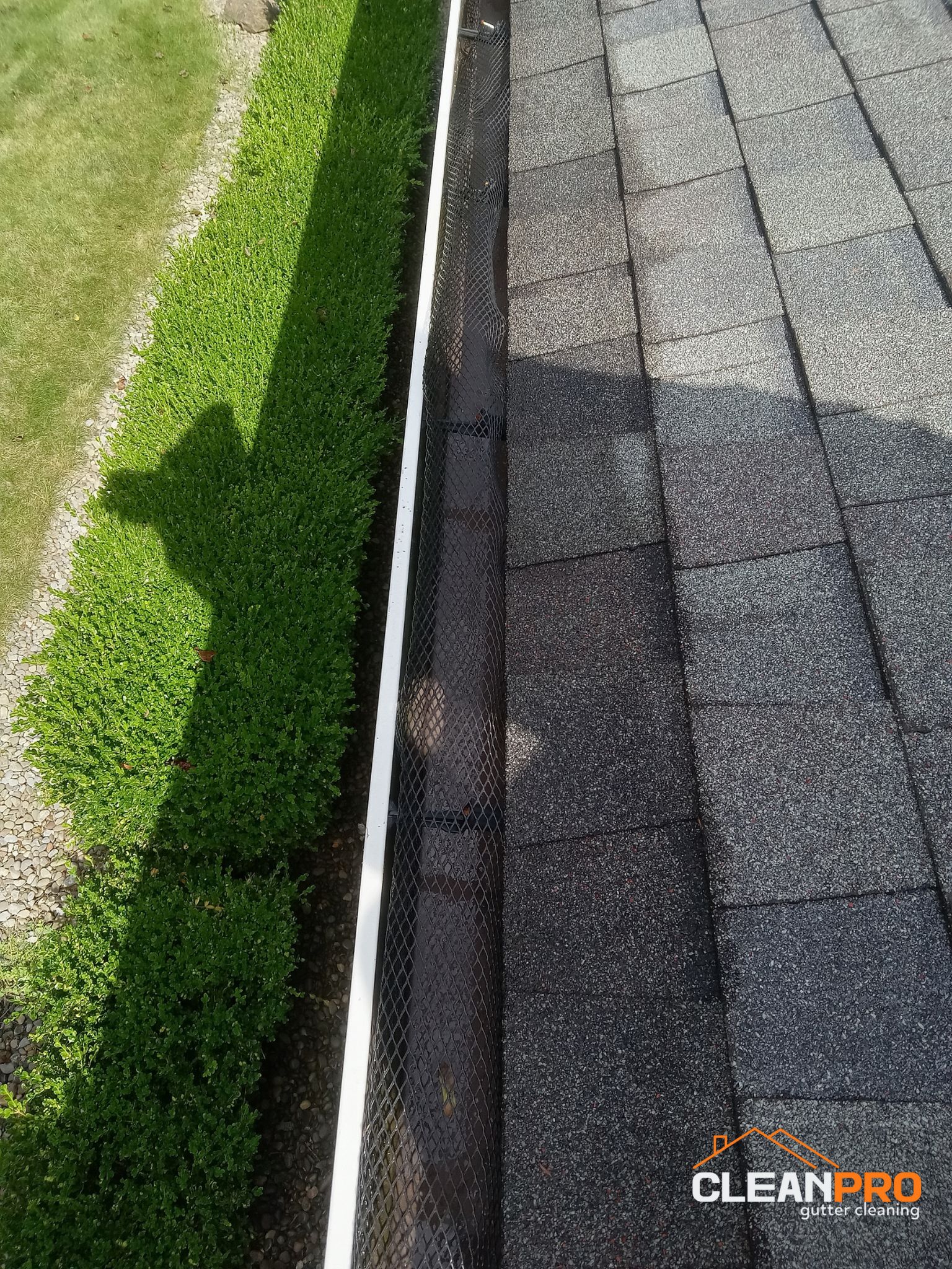 Top Notch Gutter Cleaning Service in Rochester