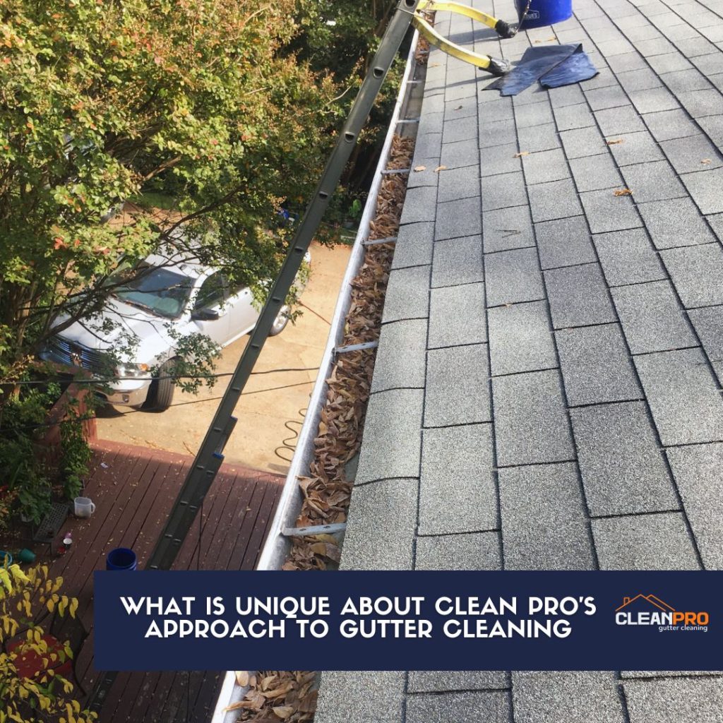 Clean Pro's Approach To Gutter Cleaning Is Unique