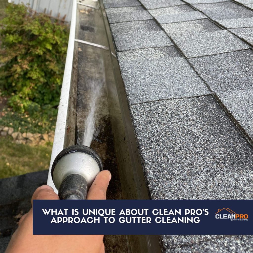 Clean Pro's Approach To Gutter Cleaning Is Unique
