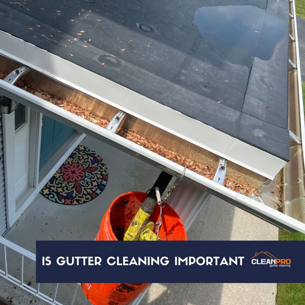The importance of gutter cleaning
