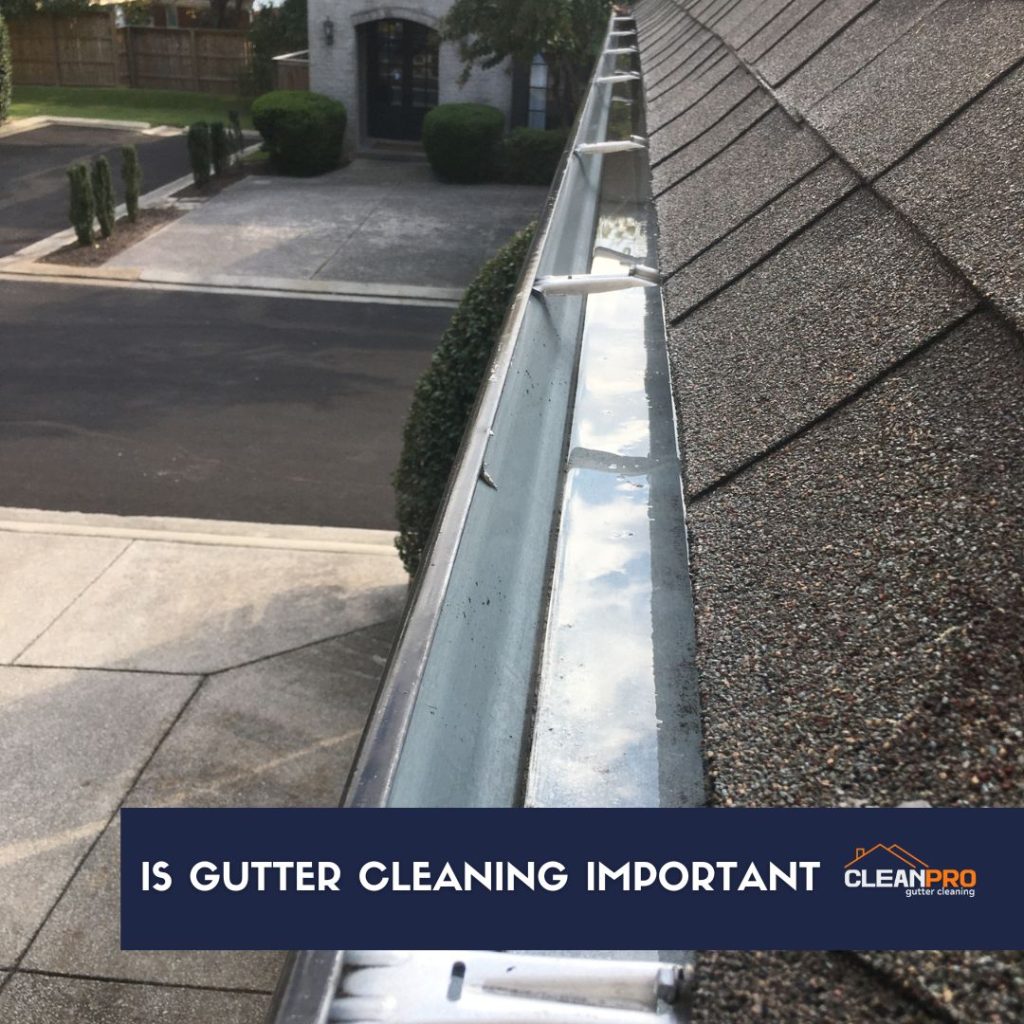 The importance of gutter cleaning	
