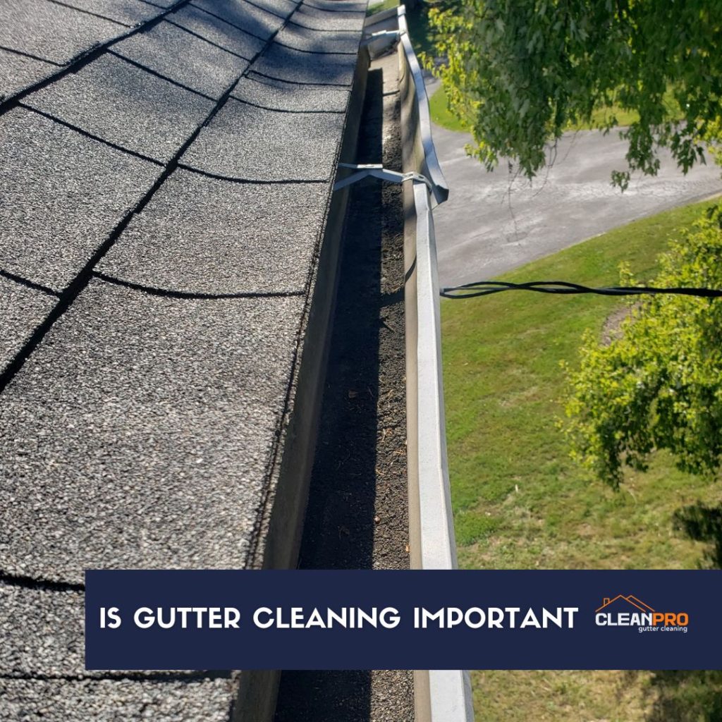 The importance of gutter cleaning