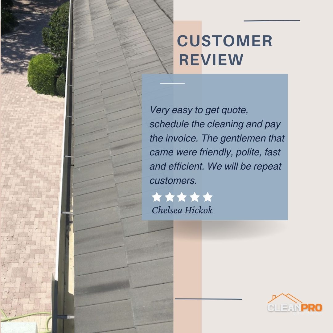 Chelsea From Middleton, WI gives us a 5 star review for a recent gutter cleaning service.