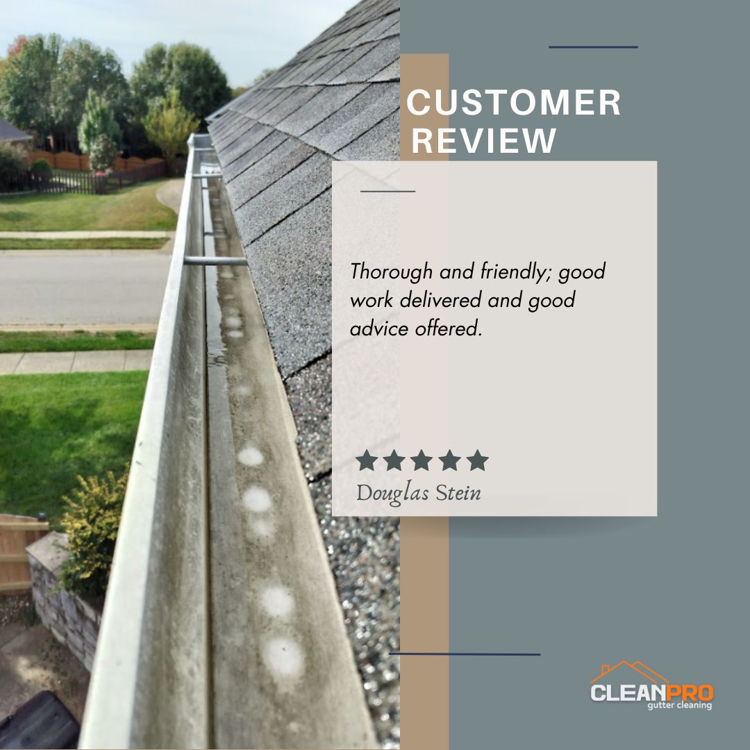 Douglas From Mountain View, AR gives us a 5 star review for a recent gutter cleaning service.