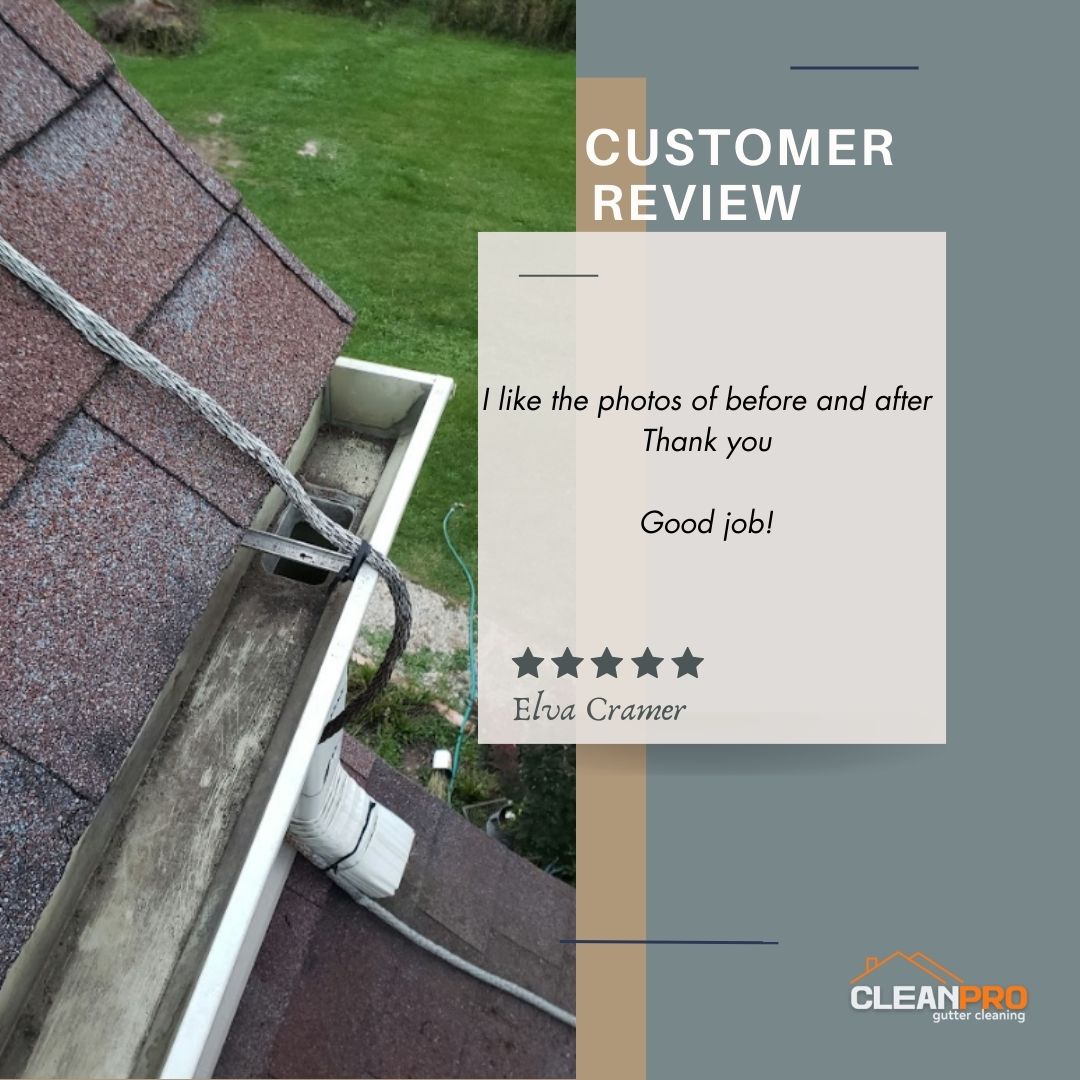Elva From Pittsburgh , PA gives us a 5 star review for a recent gutter cleaning service.
