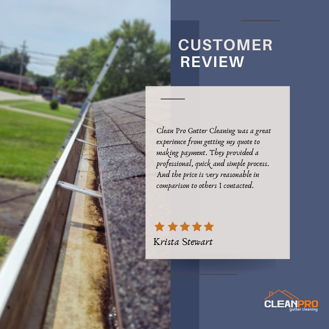 Krista from Ann Arbor, MI gives us a 5 star review for a recent gutter cleaning service.