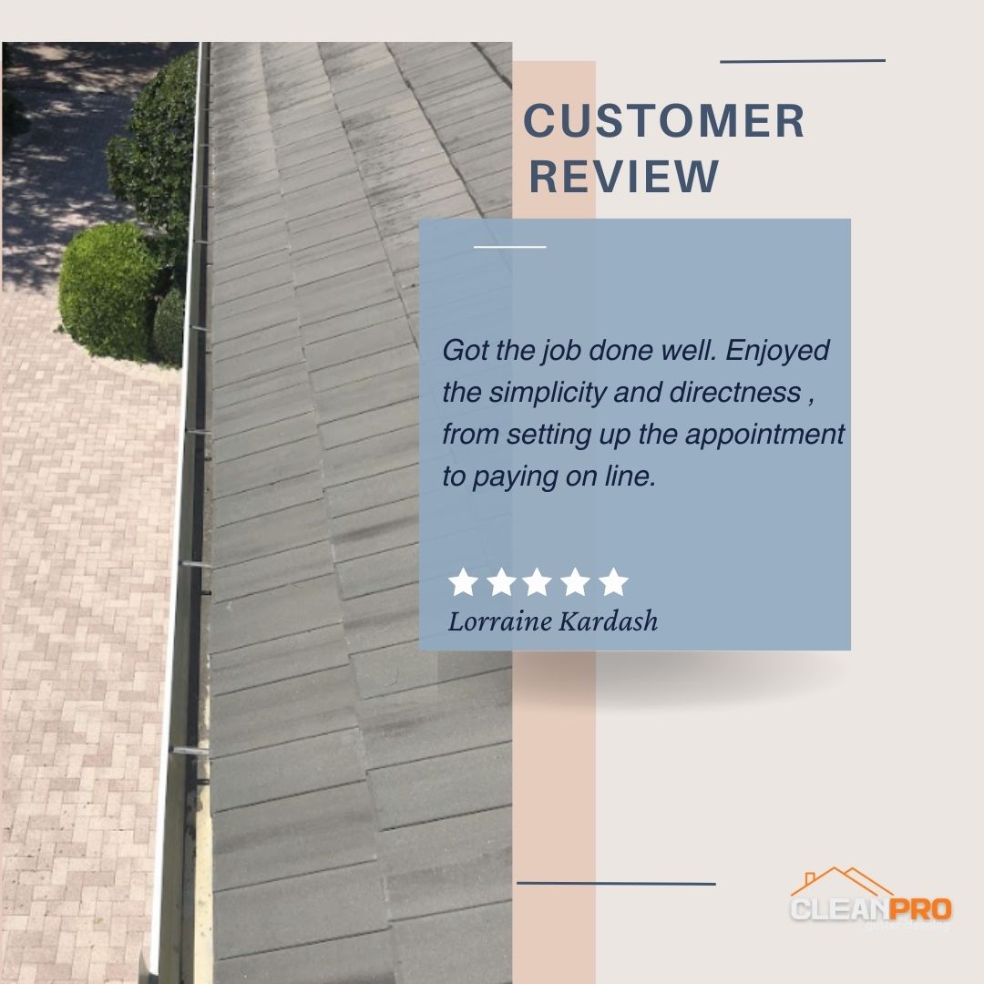 Lorraine From Lawrence, KS gives us a 5 star review for a recent gutter cleaning service.