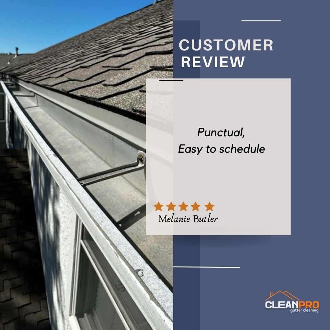 Melanie From Dallas, TX gives us a 5 star review for a recent gutter cleaning service.