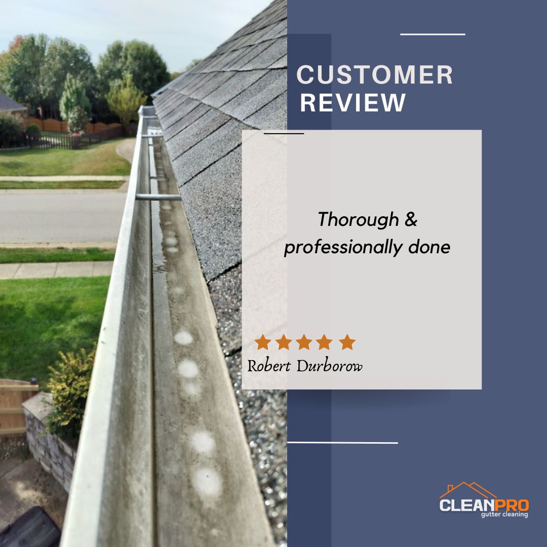 Tony From Detroit, MI gives us a 5 star review for a recent gutter cleaning service.