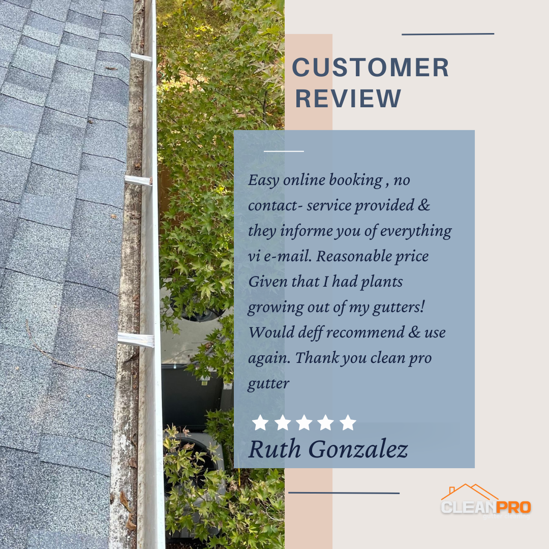 Ruth Gonzalez from Wilmington, NC gives us a 5 star review for a recent gutter cleaning service.